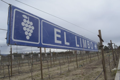 Limbo Hotel Boutique un imperdible en Valle de Guadalupe